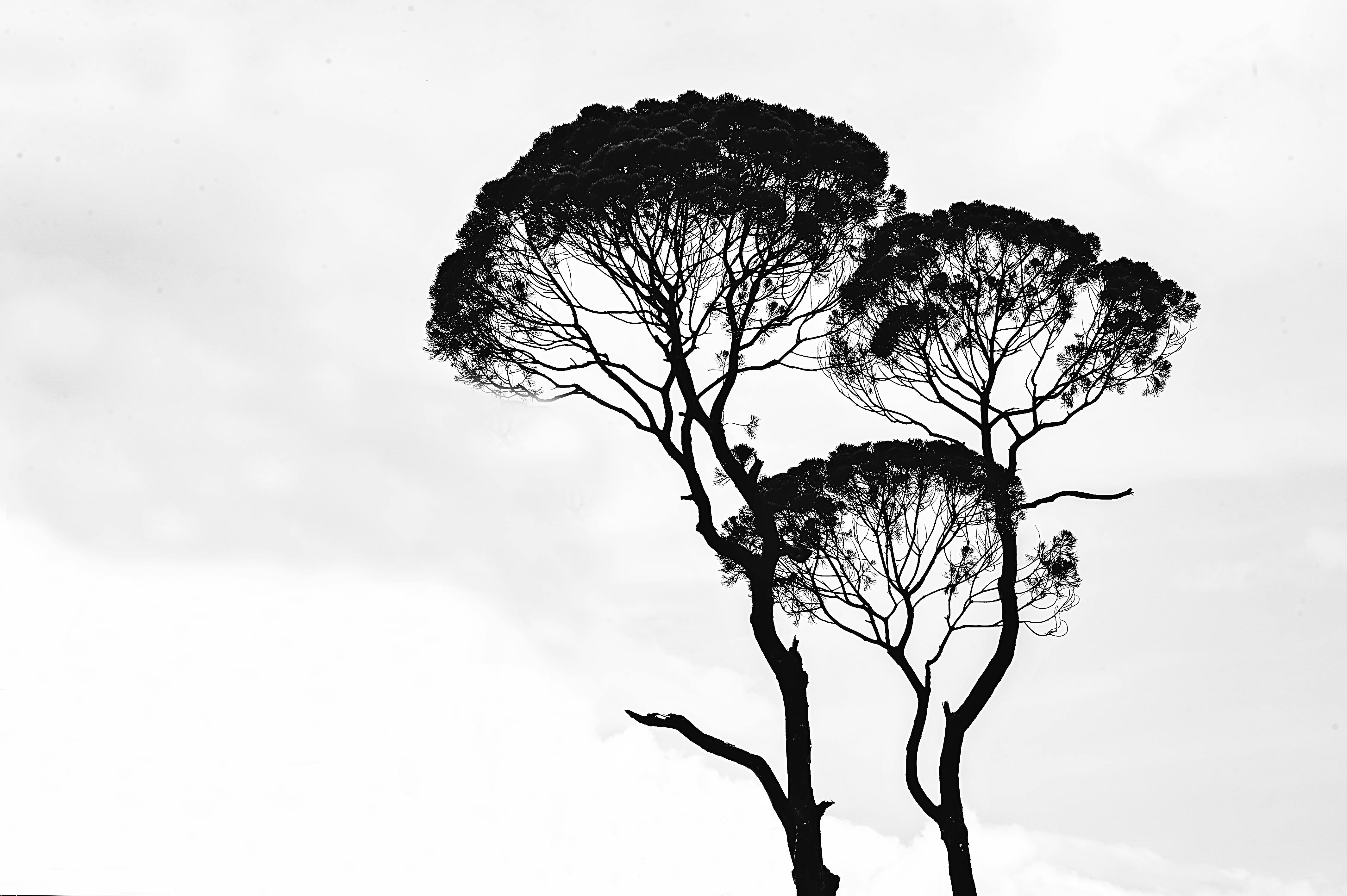 Moving Beyond Stages of Grief: Current Thoughts and Understanding